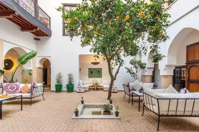 an orange tree in the middle of a living room at Dar Charkia in Marrakech