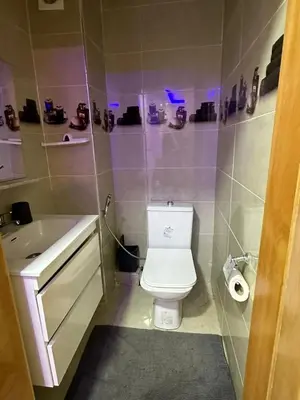 a small bathroom with a toilet and a sink at appartement elegant in Marrakech