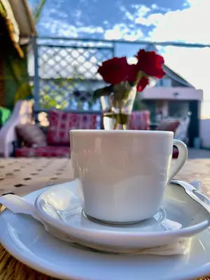 a cup of coffee on a plate with a vase of roses at Riad Dar Mamouni in Marrakech
