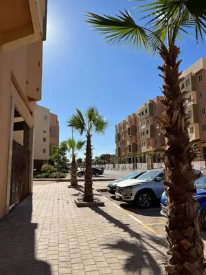 a sidewalk with palm trees and cars in a parking lot at Appartement Marrakech in Marrakech