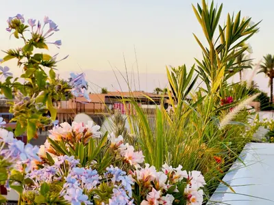 a bunch of flowers sitting on top of a table at Riad Kaya in Marrakech