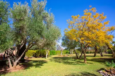 a park with trees and grass and a blue sky at Villa Ferme de Coco in El Caïd Omar