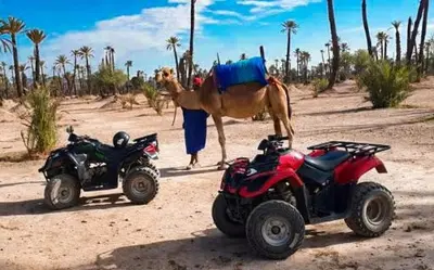 a camel and two atvs on a dirt road at Appartement raffiné avec piscine au centre ville in Marrakech