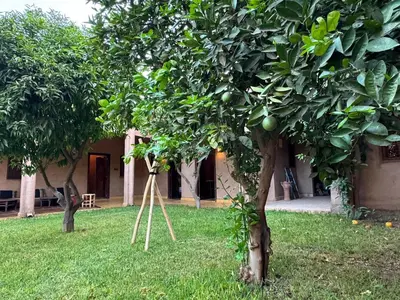 an apple tree in the grass in front of a building at DAR EL KERMA Traditional Rustic House in Châba