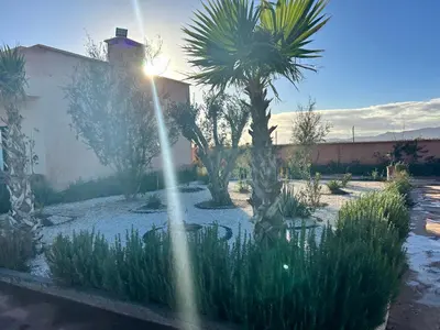 a garden with a palm tree and a fountain at Villa avec piscine privée et sans vis à vis à Marrakech in Douar Nouaji