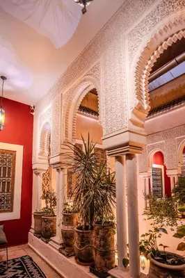 a room with potted plants on the wall at Riad Mayan & Spa in Marrakech