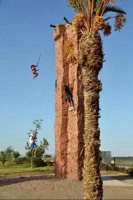 a person climbing up a wall next to a palm tree at Appartement moderne et chic, avec piscine pour femmes et Parc de jeux in Dar Caïd Layadi
