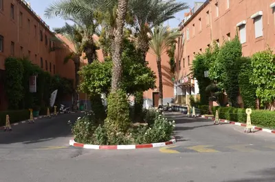 a palm tree in the middle of a street at Riad Zaitone 134 in Marrakech