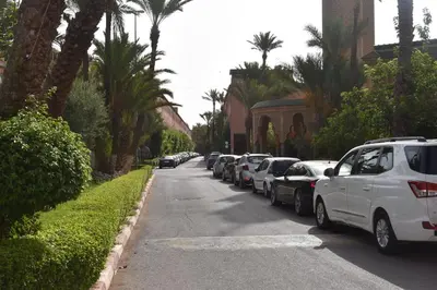 a row of cars parked on a street with palm trees at Riad Zaitone 134 in Marrakech