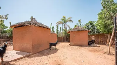 a group of goats standing next to two buildings at Villa Luxe Padel in Marrakech