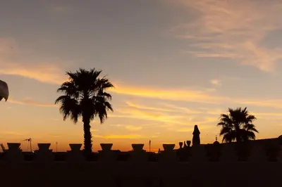 a sunset with palm trees in front of a fence at Riad Deva Lina in Marrakech