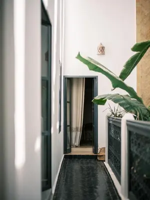 a hallway of a house with a plant at Riad en exclusivité Maison Habibi in Marrakech