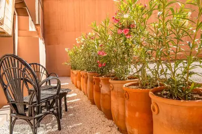 a row of flower pots with a chair and flowers at Exclusive Family Appartement in Marrakech