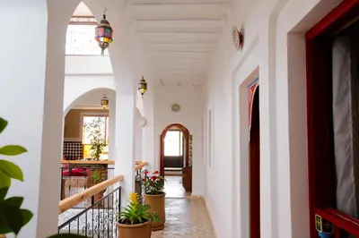 a hallway of a house with white walls and potted plants at Riad Dar Mima Hnina - Your Traditional and Private haven of peace, 2 pools, 10' from airport in Marrakech