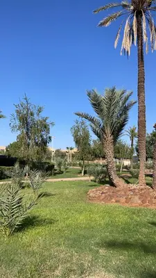 two palm trees in a park with green grass at Ben House Palmeraie in Marrakech