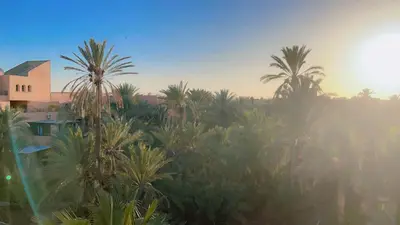 a group of palm trees in front of a building at Ben House Palmeraie in Marrakech