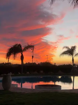 a sunset over a swimming pool with palm trees at Ben House Palmeraie in Marrakech