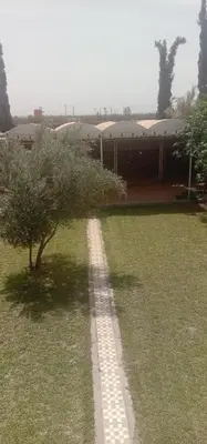 a brick path leading to a building with a tree at nice mini villa with pool in Marrakech