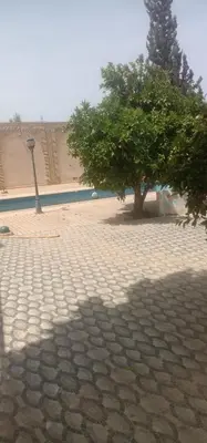a tree on a brick walk way with a tree at nice mini villa with pool in Marrakech
