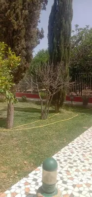 a pole with a green top sitting on the grass at nice mini villa with pool in Marrakech