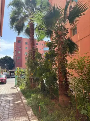 two palm trees on a sidewalk next to a building at Elegant appartement a Gueliz in Marrakech