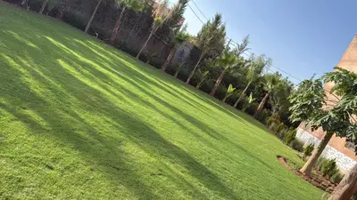 a green lawn with palm trees and a fence at Villa haut standig 2000 m2 in Marrakech