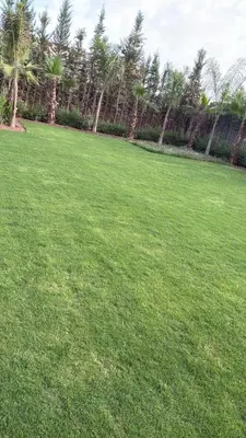 a large grass field with palm trees in the background at Villa haut standig 2000 m2 in Marrakech