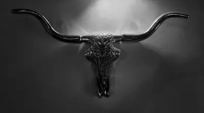 a metal object with horns on a wall at Riad Dar el Hachmia - Central private Riad, Air cond, heated pool and Hammam in Marrakech