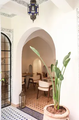 a room with a potted plant on the floor at Riad Olma in Marrakech