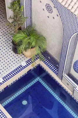 a swimming pool with two plants in a house at Riad Olma in Marrakech