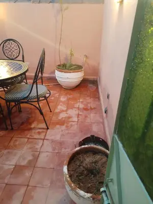 a patio with a table and chairs and a potted plant at Riad avec jardins et piscines in Marrakech