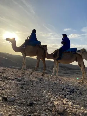 two people riding on the backs of camels on a mountain at Qortoba house in Marrakech