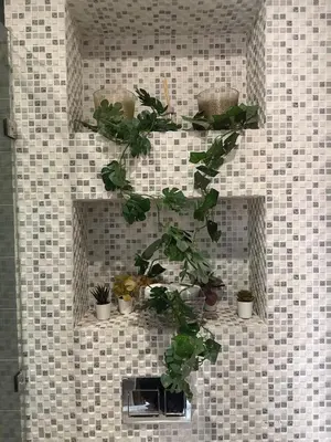 a wall with shelves with potted plants on it at Séjour cosy à Marrakech centre in Marrakech