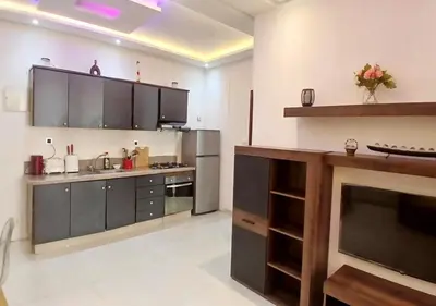 a large kitchen with gray cabinets and stainless steel appliances at Walili 1 in Marrakech