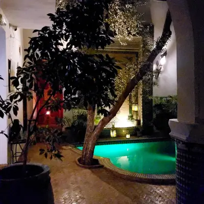 a swimming pool with a tree in a building at Riad Alma Mouassine in Marrakech