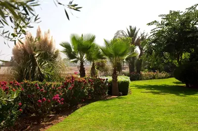 a garden with palm trees and flowers in a park at Villa de luxe avec piscine sur le golf d'amelkis in Marrakech