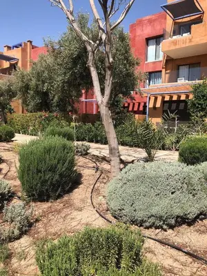 a garden with a tree and bushes in front of a building at Duplex Le Vizir for 6 with Park Access 3 Pools in Dar Caïd Layadi