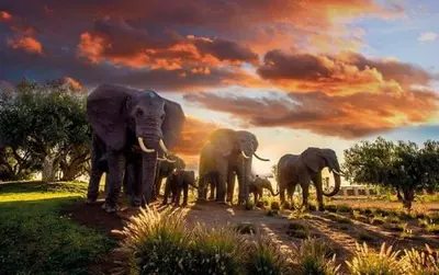a painting of a herd of elephants standing in a field at Duplex Le Vizir for 6 with Park Access 3 Pools in Dar Caïd Layadi
