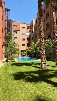 a palm tree in the grass next to a building at Moulay Youssef in Marrakech
