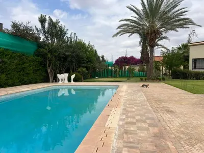 a swimming pool with a statue of a cat next to it at ksar el bahja in Marrakech