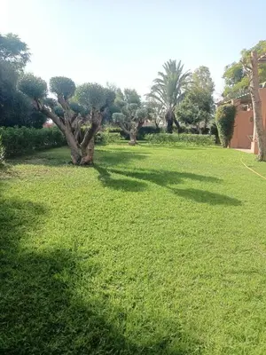 a field of green grass with trees in the background at Palmeraie Village 2 in Marrakech
