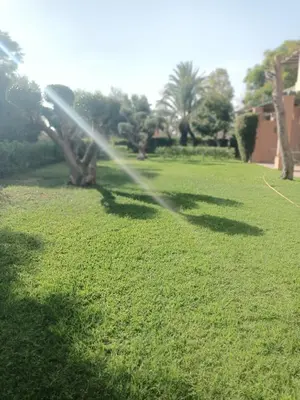 a sprinkler watering a lawn in a yard at Palmeraie Village 2 in Marrakech