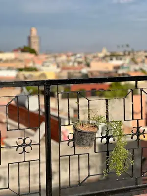 a balcony with a potted plant and a view of a city at Apartment with rooftop access in Marrakech