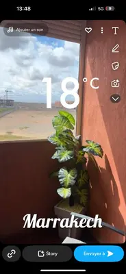 a screenshot of a video game with a plant at Apt Marrakech vue sur Atlas in Marrakech