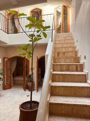 a staircase in a house with a potted plant at Momo House- Riad Zaza in Marrakech