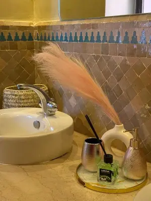 a bathroom sink with a feather sticking out of it at appartement bel vue sur l'atlas in Marrakech
