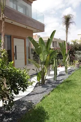 a row of plants in front of a house at Villa Maymouna in Marrakech