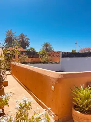 a fence with plants and palm trees in the background at Momo House- Riad Momo in Marrakech