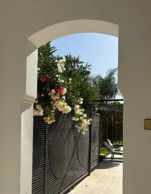 two large vases with flowers hanging on a fence at MSC Hostel in Marrakech