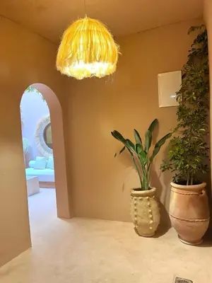 a room with two potted plants and a chandelier at Riad Roseli in Marrakech
